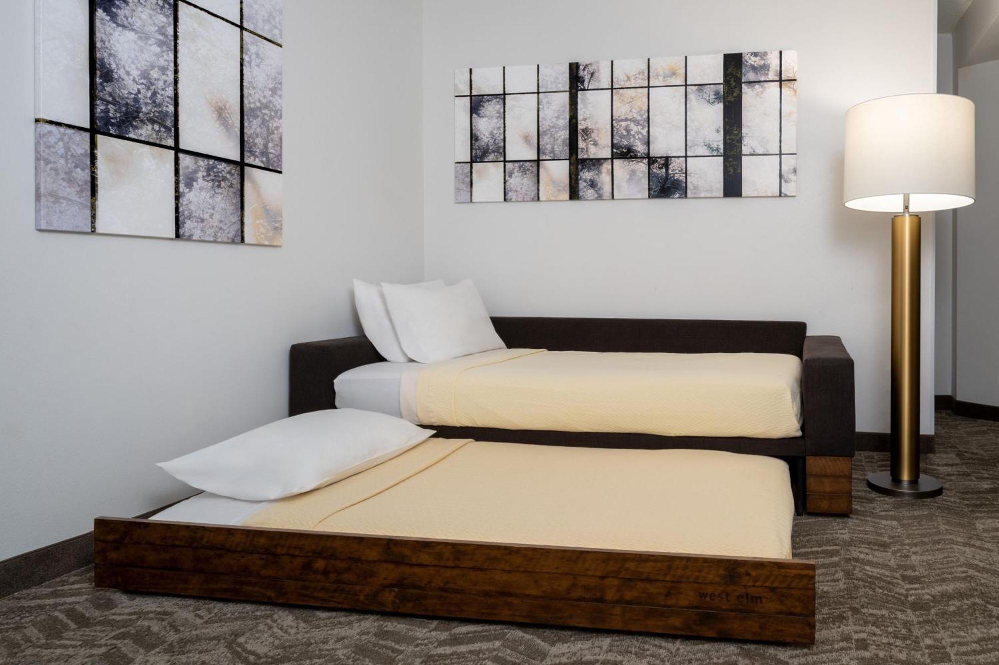 Springhill Suites Gainesville Exteriér fotografie