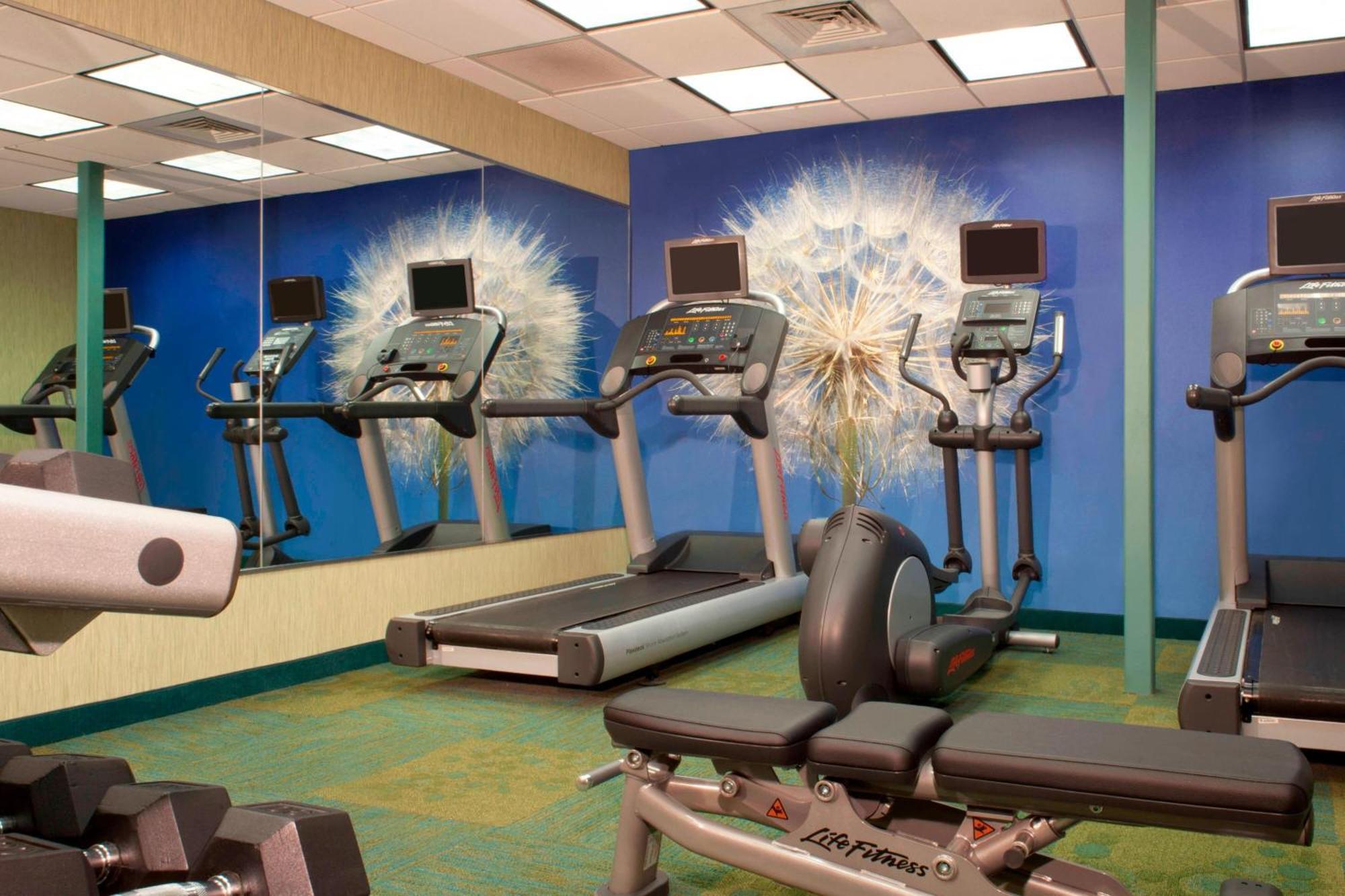 Springhill Suites Gainesville Exteriér fotografie
