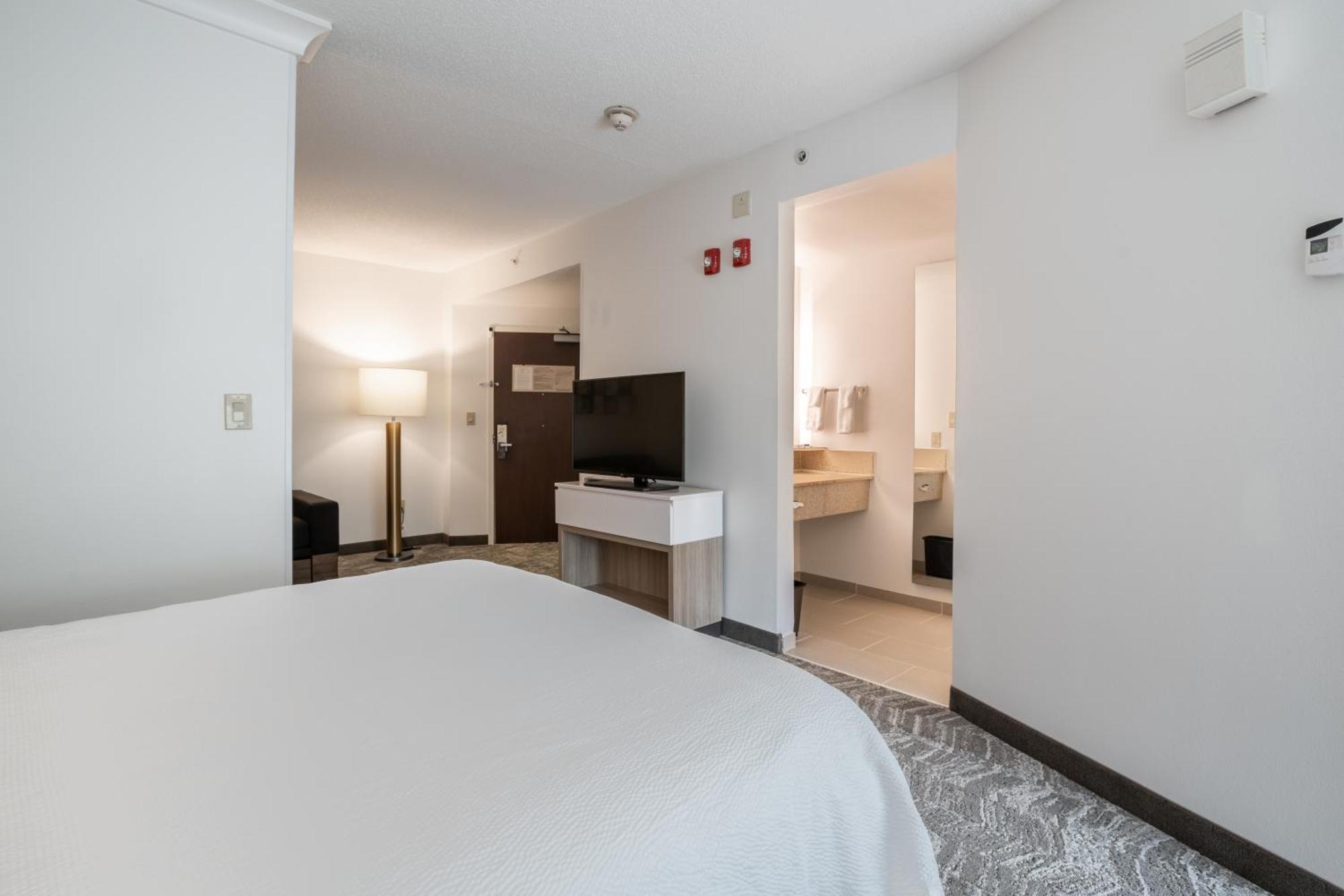 Springhill Suites Gainesville Exteriér fotografie